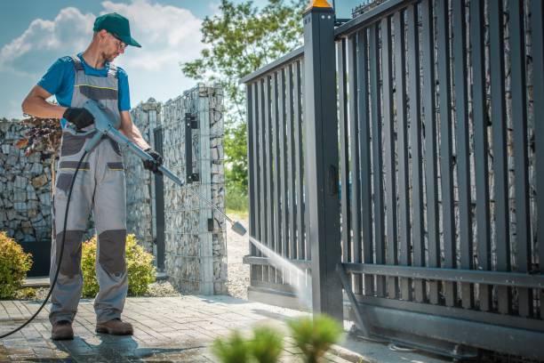 Best Gutter Cleaning  in Hoopeston, IL