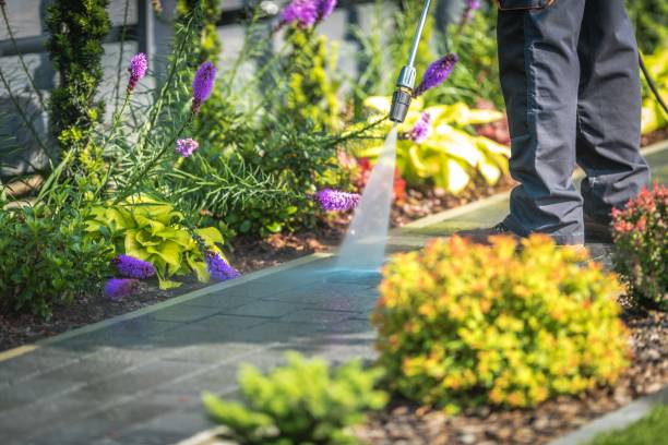 Best Gas Station Cleaning  in Hoopeston, IL